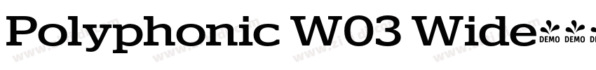 Polyphonic W03 Wide字体转换 Polyphonic W03 Wide字体转换